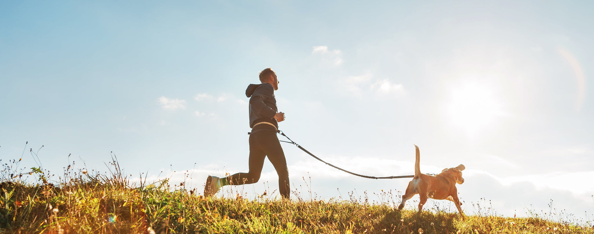 A Natural Approach to Occasional Physiological Stress*