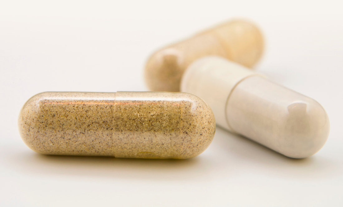 How GI + Biome™ Complex Supports the Immune System and Revitalizes the Gut