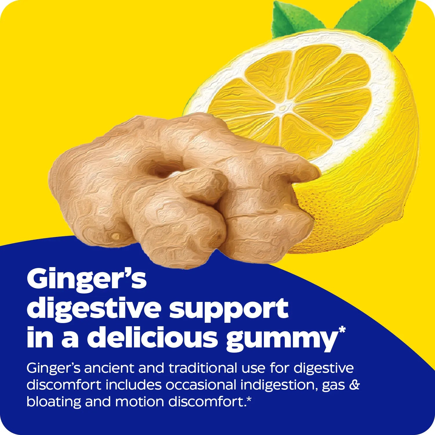 Ginger root and lemon graphic with Ginger digestive support in a delicious gummy message