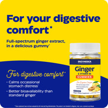 Load image into Gallery viewer, New! Ginger &amp; Vitamin B6 Gummies
