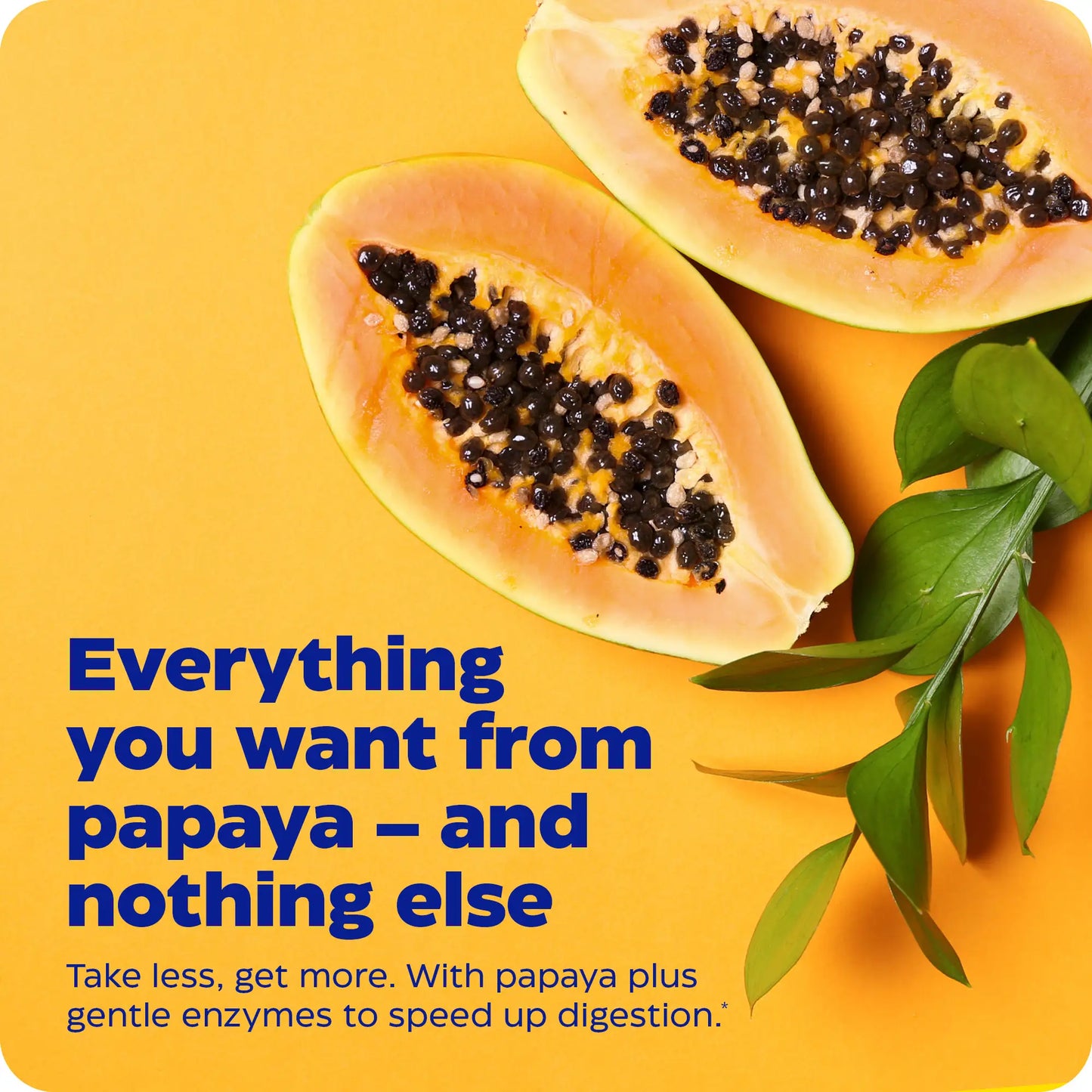 Papaya Complete